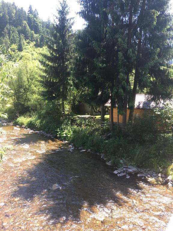 Cabana Felyviss Gîrda de Sus 외부 사진